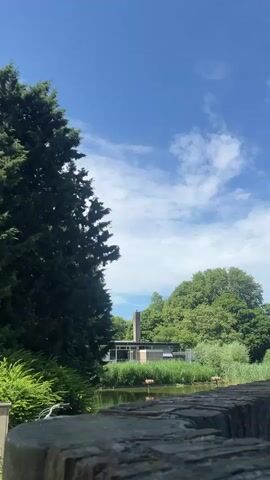This is a vertical, hand-held video clip. It opens on a wide shot of a body of water with a modern building and trees in the background. Two flamingos are visible in the water. A tall evergreen tree is on the left side of the frame. The camera then pans to the right, showing a brick wall in the foreground with graffiti. More trees and a blue sky with some clouds are visible in the background. A thin white contrail from an airplane stretches across the sky. The video ends with a close-up of the trees and the sky.