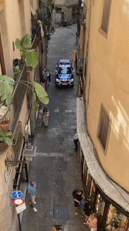 Police arrest on a cobblestone street in Barcelona