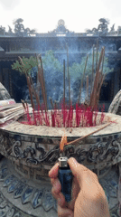 Morning scenes of incense, butterflies and pond life in Vietnam