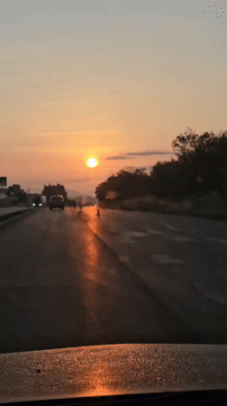 Golden hour traffic scene captured on Bulgarian highway