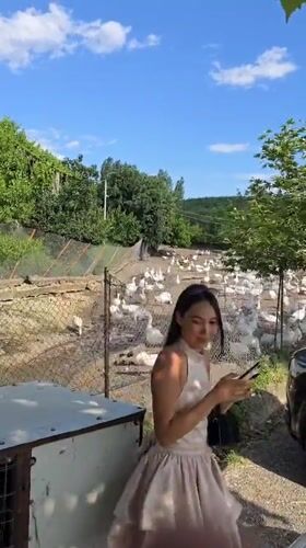 Tourists visit farm animals and monuments in Blinisht, Albania