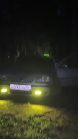The video shows a car with its headlights on in a dark, wooded area. The car is silver and has yellow fog lights. The driver's side door is open. The camera pans to the right, showing trees and foliage illuminated by the car's lights. There are also some blurry green lights visible in the background. The video is shaky, suggesting it was filmed while moving.