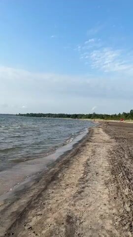 A very slightly moving, vertical video of a beach with a body of water and a blue sky. The beach is made of sand and seaweed. The water is wavy and moves to the left. The sky is blue with some clouds. Trees are visible in the distance on the left side of the frame. There are some people and red tents visible further down the beach on the right side of the frame.