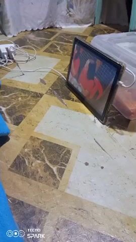 The video begins with a close-up of a tablet screen displaying what appears to be a news broadcast or a video call with people. The tablet is lying on a checkered floor with brown and beige tiles, and is connected to a white charging adapter with multiple cords. To the right of the tablet, a clear plastic container with some orange contents is visible. In the background, a white cloth is draped over something, and a blue object, possibly a pillow or cushion, is partially visible in the lower left corner. The lighting suggests it is daytime, though it is difficult to determine the exact time of day. The scene appears to be indoors, likely in a home environment.

The video then transitions to a different scene. The camera quickly pans to show a young boy lying on a bed. He is wearing a white t-shirt and black shorts. He appears to be resting or watching something, with his head turned slightly to the side. The bed has a blue sheet and a pillow with a yellow star pattern. In the background, there are blue drawers and a wooden shelf with some items on it, including what looks like a backpack. The lighting is still consistent with daytime. The overall mood of the video is casual and domestic, showing everyday life.

The visible text at the bottom of the screen reads "TECNO SPARK" with a logo, indicating that the video was recorded using a Tecno Spark device. The location context is Dumaguete, Philippines.