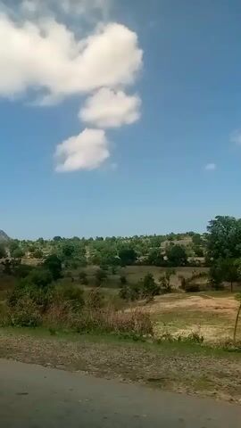 The video captures a scenic view of a tree-lined landscape with a road in the foreground under a bright blue sky with white clouds. The camera moves horizontally, revealing more trees and open fields.