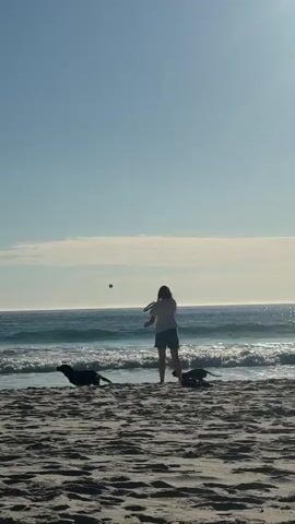 The video shows a woman on a sandy beach with two dogs running toward the ocean. The woman is facing away from the camera, wearing a light-colored t-shirt and dark shorts, and holding a dark object, possibly a toy or stick. One dog is black, and the other is a darker color. The dogs are running near the water's edge as waves come in. The sky is clear and blue. A rocky outcropping is visible in the distance on the left side of the frame.