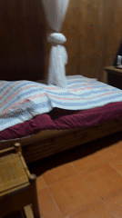 Rural Vietnam scenes captured: bamboo guesthouse, small mammals
