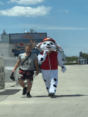 Luxury cars and Paw Patrol character spotted in Varna