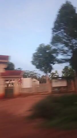 This is a blurred, fast-motion video from a vehicle moving past a street scene. The video shows trees, buildings, and some structures that appear to be walls or fences. The lighting suggests it is either early morning or late evening. There are no discernible people or specific actions.