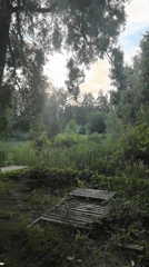 Afternoon scenes in Noviy featuring nature views and mirror reflections