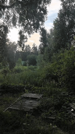 Afternoon scenes in Noviy featuring nature views and mirror reflections