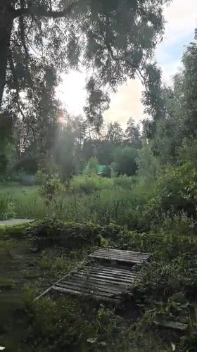 Afternoon scenes in Noviy featuring nature views and mirror reflections