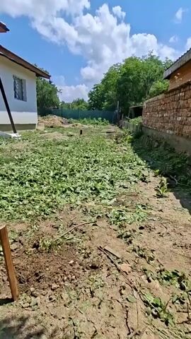 This media file captures an outdoor scene in Dolna Malina, Bulgaria. The main subject is a multi-story house with a light-colored facade and a dark roof, featuring large glass doors and windows. The house appears to be under construction or renovation, as indicated by some construction materials and debris scattered around. In front of the house is a large patch of overgrown vegetation, with some areas cleared and the remains of plants lying on the ground. Several wooden stakes are planted in the soil, suggesting a planned landscaping or construction project. The setting is a yard with dirt paths and some trees in the background.

The time of day appears to be daytime, with bright sunlight casting shadows, indicating fair weather. The sky is blue with scattered white clouds. The overall atmosphere is one of ongoing work and development. There are no people visible in the media file. The image is static and does not depict any specific event other than the present state of the property. There is no visible text in the media file.