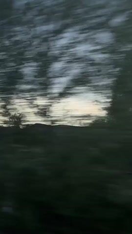 The video shows a view from a moving vehicle, likely a train or car, with trees and foliage passing by in a blur due to the speed. The sky is overcast with dark clouds. There is a glimpse of light on the horizon. The primary focus is on the motion of the trees and the background environment.