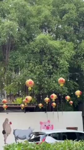 The video shows a street scene with a row of traditional Chinese lanterns hanging in front of a lush green tree. Below the lanterns, a white wall is decorated with cartoonish paintings of animals, including a pig, a cow, and a primate. A parked white vehicle can be seen in front of the wall. The weather appears to be overcast.