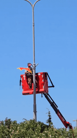 Worker installs Montenegro flag on street pole in Bar