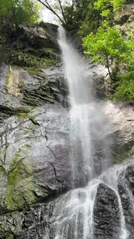 The video shows a waterfall cascading down a rocky cliff face surrounded by lush green trees. The water is white and frothy as it plunges into a pool below, creating a misty spray. The rocks are dark and wet, with patches of moss and lichen growing on them. The sunlight filters through the trees, creating dappled patterns on the water and rocks. The scene is peaceful and natural, evoking a sense of tranquility and the beauty of the wilderness.