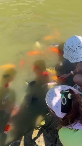 A high-angle medium shot shows a pond with many koi fish swimming in murky, greenish water. Two children are visible from behind, wearing hats. One child on the right wears a white crocheted hat and is reaching their hand into the water. The other child in the foreground wears a white patterned bandana with a cartoon character on it, also with their hand near the water. The sound of a voice says "Don't, they might have burns. Liza, Liza, Liza."