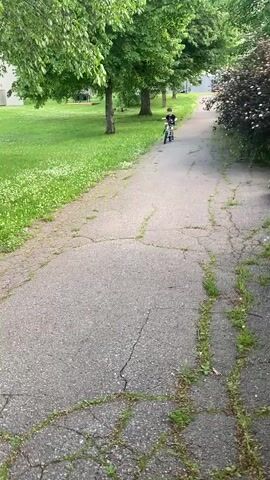 A young boy rides a bicycle on a paved path in a grassy area. The boy is wearing a black t-shirt and grey shorts. The bicycle is white with blue accents on the wheels and handlebars. The path is cracked and overgrown with grass. There are trees and buildings in the background.