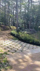 Tourist explores Da Lat gardens and pine forests during morning visit