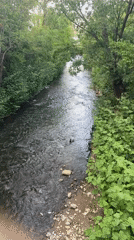 Stream flows through green corridor near walking path