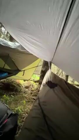 Here is a detailed description of the video:

The video shows a person sitting in a hammock inside a forest. The hammock has an olive green and gray covering. The person is looking at their phone. There are two large backpacks on the forest floor. There is a gray tarp overhead, and another olive green shelter to the side. The forest is green and dense. The weather looks overcast and possibly rainy.