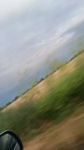 The video, shot from a moving vehicle in Malyi Kuialnyk, Ukraine, captures a rural landscape under an overcast sky. The scene is dominated by a sloped field of dry, golden grass, transitioning into a strip of green vegetation closer to the road. In the distance, a line of trees marks the horizon, with a dark, stormy cloud formation visible to the left, suggesting impending rain. The side mirror of the vehicle is partially visible in the bottom left corner. The motion blur indicates the fast pace of travel, creating a sense of movement and a fleeting glimpse of the Ukrainian countryside. The overall mood is somewhat somber due to the cloudy weather, but the vastness of the open fields also evokes a sense of freedom. There is no visible text in the video.