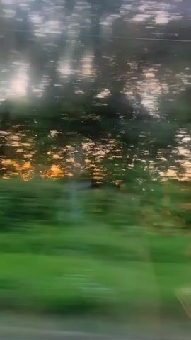 The video shows a blurry, streaky view from a moving vehicle, likely a train or car, during what appears to be sunset. Sunlight filters through trees and foliage, creating a warm, golden glow. The sky is visible with some clouds. The overall impression is of a scenic journey through a natural landscape.
