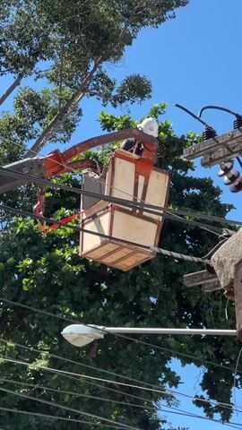 A person in a bucket truck is working on power lines. The person is wearing a white hard hat and red gloves. The bucket truck is red and orange. The power lines are black and are attached to utility poles. There are green trees in the background. The sky is blue.