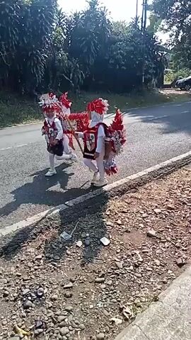A group of people are walking along a paved road. The person in the foreground is a child wearing a white outfit with red feathered wings and a shield on their chest. They are holding a staff. Behind them, other people are walking, some wearing similar festive outfits. The road is lined with trees and vegetation. The sun is shining, casting shadows. A motorcycle is visible in the background.