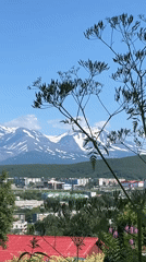 Wildflowers and volcanoes frame Petropavlovsk-Kamchatsky on a clear summer morning