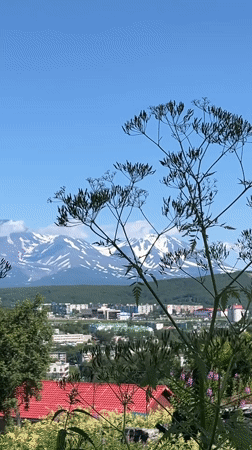 Wildflowers and volcanoes frame Petropavlovsk-Kamchatsky on a clear summer morning