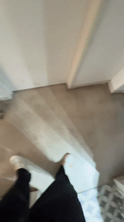 Person films casual moments with dogs in Avellaneda home