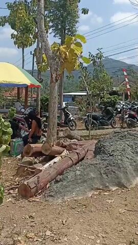 The video opens with a view of a dirt path in what appears to be a rural or semi-rural area. To the left, there are several motorcycles parked. Further back, there are buildings with red roofs and trees. The path itself has some debris and vegetation. The camera then pans to a tree with green leaves and some yellowing ones. In the background, there are more trees and some structures. The next shot shows a small tree with lush green foliage, possibly a bonsai, with pots around its base. The camera then moves to reveal a busy scene. A truck with an open bed is parked, and it is covered by a colorful umbrella canopy. The truck bed is filled with what appear to be large fruits, possibly watermelons, and other produce. There are people and more motorcycles in the background, suggesting a marketplace or roadside vending area. The video ends with a close-up of the truck's side, which has a cartoonish graphic.