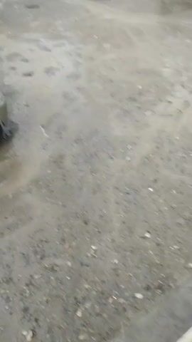 A white car is parked on a dirt road. The car is partially submerged in a puddle of water. The road is wet and muddy. There are some plants in the background.