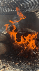 Family barbecue gathering documented in Wisła, Poland
