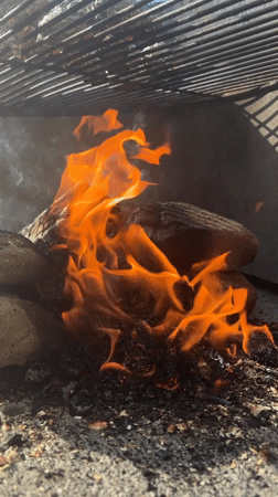 Family barbecue gathering documented in Wisła, Poland