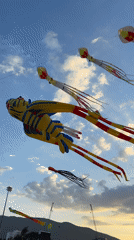 Sea creature kites take over the sky at Quy Nhon festival