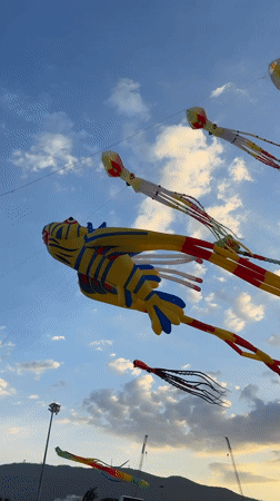 Sea creature kites take over the sky at Quy Nhon festival