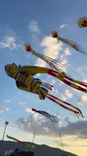 Sea creature kites take over the sky at Quy Nhon festival