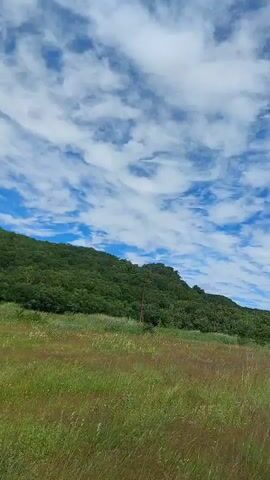 The video shows a view of a grassy field with a treed hill in the background. The sky is blue with white clouds. The camera appears to be moving, possibly from a vehicle, as evidenced by a dark object in the lower right corner of the screen in some frames. There are no people visible in the video.
