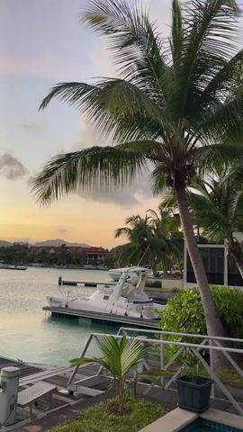 The video opens with a view of a calm body of water, likely a harbor or bay, with a white catamaran docked along a wooden pier. Palm trees are prominent in the foreground and midground, their fronds swaying gently. In the background, several buildings with red roofs are visible, nestled amongst more palm trees, suggesting a tropical or subtropical location. The sky displays a soft gradient of colors, transitioning from a warm yellow and orange near the horizon to a pale purple and blue higher up, indicative of either sunrise or sunset. As the video progresses, the camera tilts upwards, revealing more of the sky and the silhouette of an airplane flying in the distance, against a backdrop of clouds. The overall scene evokes a serene and picturesque coastal atmosphere.