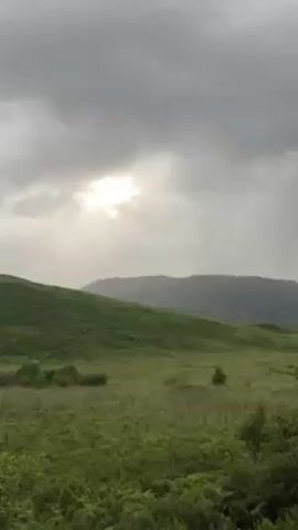 Here's a detailed description of the video:

The video presents a scenic view of a hilly, grassy landscape under a dramatic, overcast sky. The landscape is primarily green, composed of rolling hills covered in grass and patches of fern or other low-lying vegetation. In the background, there are mountains silhouetted against the sky, appearing as layers of dark green and gray. 

The sky is heavily clouded, with thick, gray clouds dominating the view. However, there is a slight break in the clouds, allowing some sunlight to filter through, creating a diffuse, soft glow on the scene. The light is not strong enough to cast distinct shadows, but it does illuminate the landscape in a gentle way. 

The overall mood is serene and somewhat somber due to the heavy cloud cover. The video captures a sense of natural beauty and tranquility in a remote, hilly area.