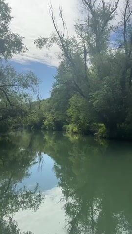 The camera is at river level, looking down a calm stretch of water. The water is a dark green, and reflects the blue sky and white clouds above. Trees line both sides of the river, creating a natural tunnel effect. The trees are lush and green, and a few bare branches are visible. It appears to be a sunny day. The sound of a motor is audible in the background.