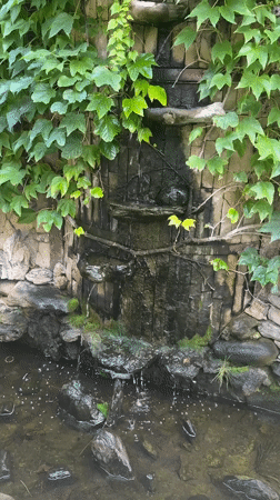 Inside Chateau Cojușna: Moldova winery tour, cellars to tasting rooms