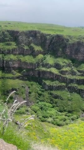 The video shows a view of a steep canyon landscape with lush green vegetation growing on the rock walls. The canyon walls are stepped, creating horizontal tiers of greenery. The ground in the foreground and background is also covered in grass and flowers. The sky is overcast and grey.