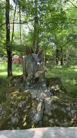 The video shows a simulated prehistoric scene in a forest. Two dinosaur models, a Stegosaurus and what appears to be a Triceratops, are placed on moss-covered rocks amidst trees and foliage. The Stegosaurus is in the foreground on the left, facing right. The Triceratops is in the background on the right, also facing right. The scene is brightly lit, suggesting it is daytime. The camera pans from left to right, revealing the two dinosaurs and their environment. There are no people visible in the video.