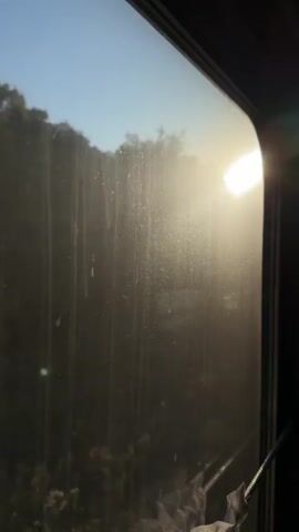 The video shows a view through a dirty train window with the sun shining brightly on the right side of the frame. Outside the window, trees and foliage are visible, appearing dark due to the backlighting. The sky is a clear blue. In the foreground of the window, there are visible streaks and smudges on the glass, as well as what appears to be a piece of crumpled white fabric or paper. The perspective suggests the camera is inside a moving vehicle, likely a train, looking out at the passing landscape.