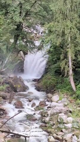 This is a vertical, medium shot video of a waterfall cascading down a rocky incline. The water is white and frothy as it tumbles over the rocks, creating a mist that hangs in the air. Lush green trees and foliage surround the waterfall, with moss and lichen growing on the rocks. The sun is not visible, suggesting an overcast or shaded environment. The scene is peaceful and natural, with no people or man-made objects visible.