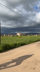 Afternoon scenes captured around rural Palma de Mallorca